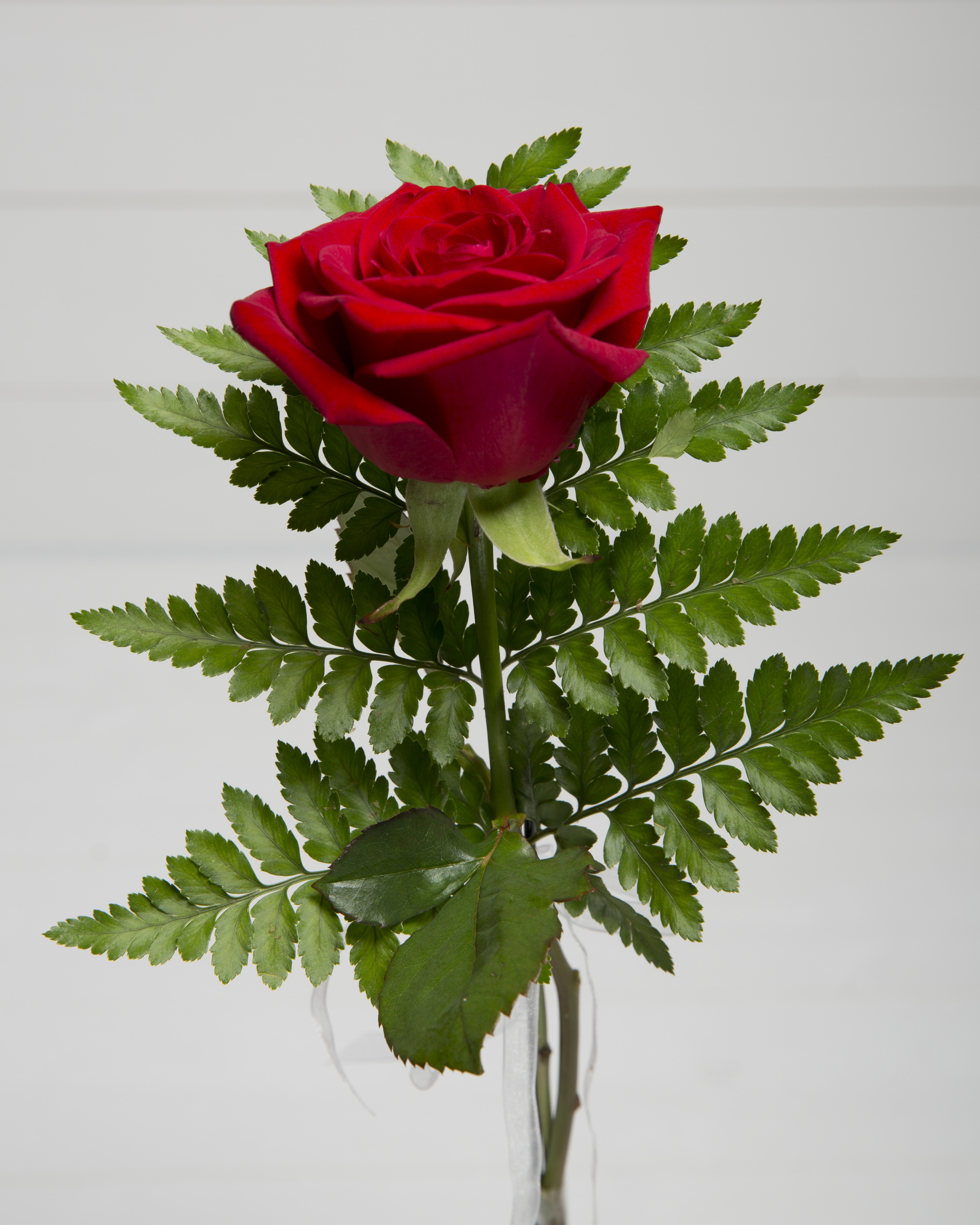 Handblomma Röd ros - Flowerfresh